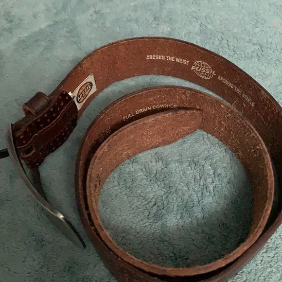 Fossil Belt - Picture 4 of 5